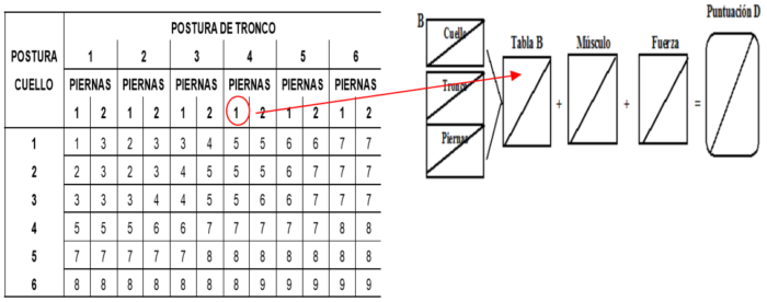 Ejemplo Rula Método RULA - Next Prevención