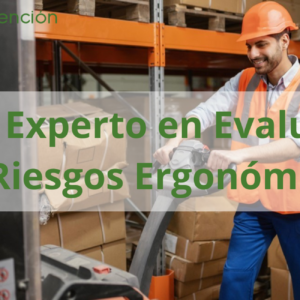Curso Experto en Evaluación de Riesgos Ergonómicos (Latinoamércia)
