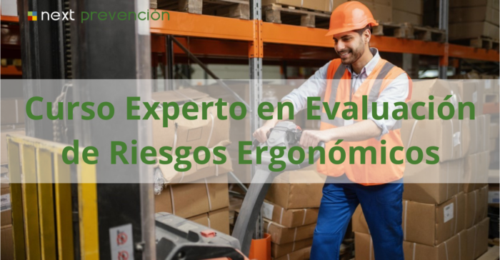 Curso Experto en Evaluación de Riesgos Ergonómicos (Latinoamércia)